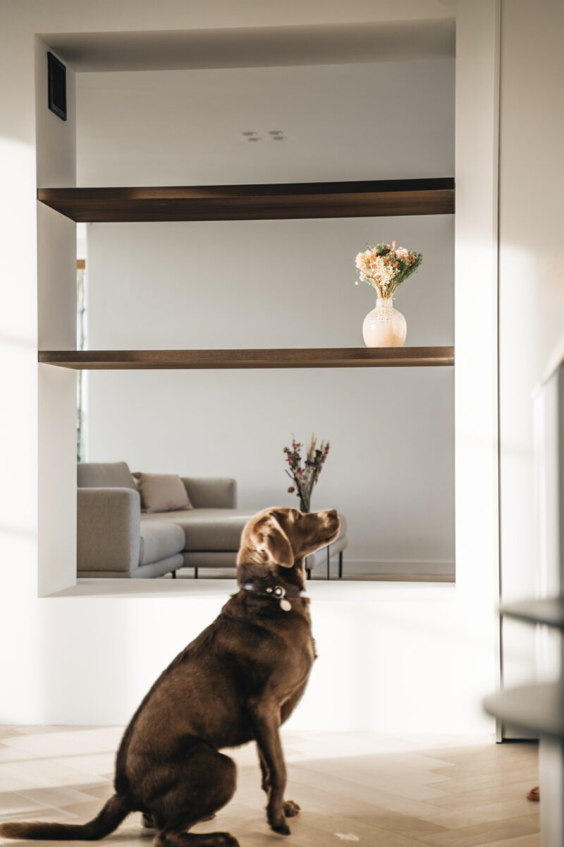 Buysschaert/Tanghe 4